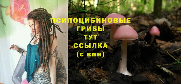 Альфа ПВП Абаза