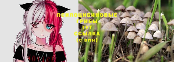 таблы Дмитров